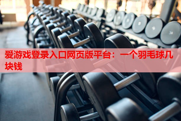 一个羽毛球几块钱 一个羽毛球几块钱