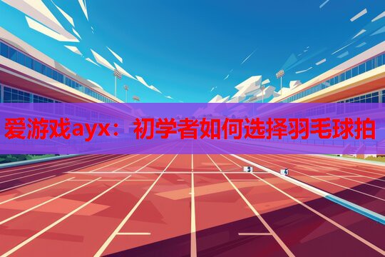 初学者如何选择羽毛球拍 初学者如何选择羽毛球拍