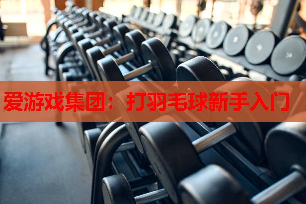 打羽毛球新手入门 打羽毛球新手入门