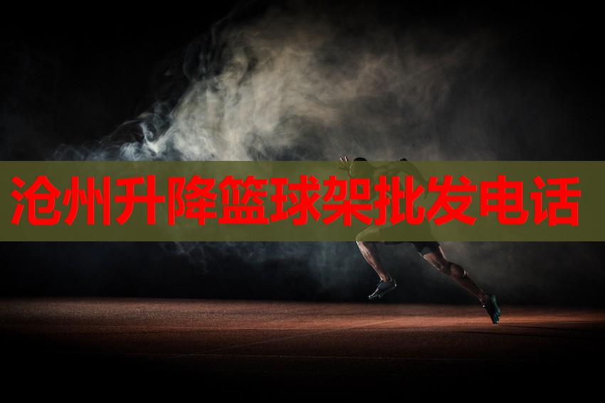 沧州升降篮球架批发电话 沧州升降篮球架批发电话
