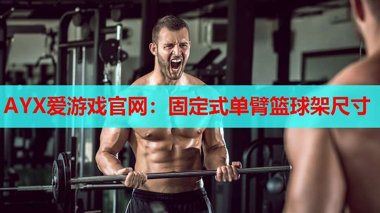 固定式单臂篮球架尺寸 固定式单臂篮球架尺寸