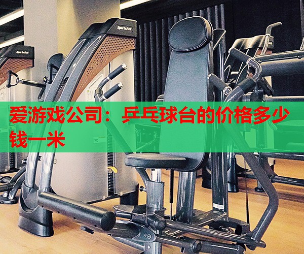 乒乓球台的价格多少钱一米 乒乓球台的价格多少钱一米