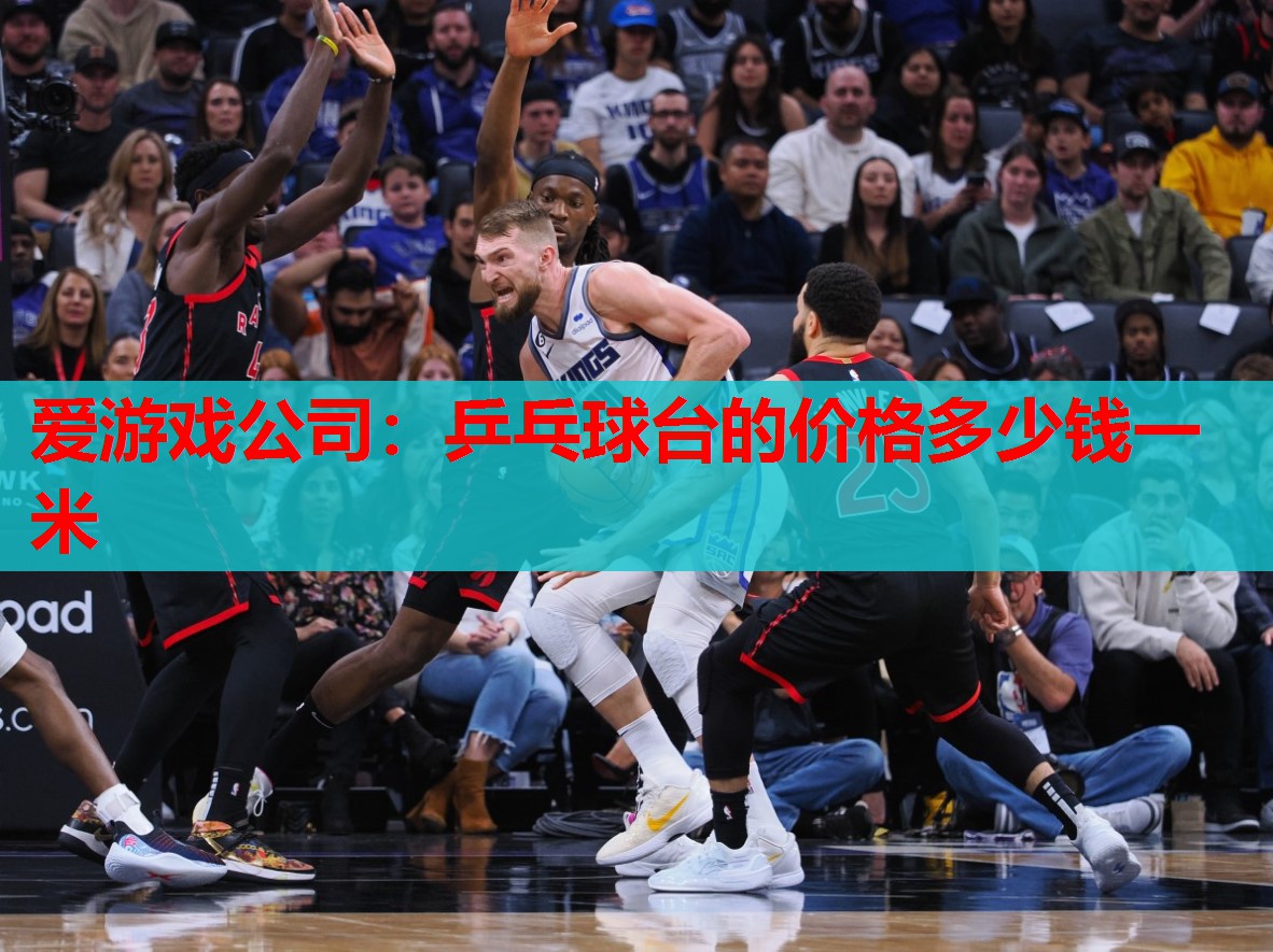 乒乓球台的价格多少钱一米 乒乓球台的价格多少钱一米