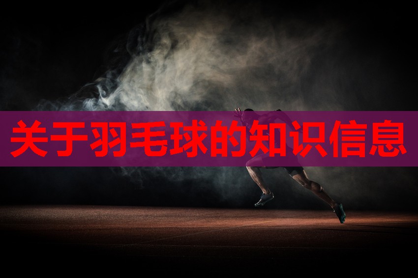 关于羽毛球的知识信息 关于羽毛球的知识信息