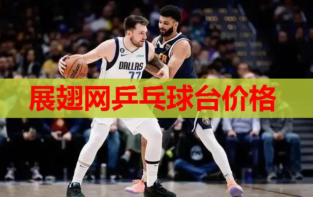 展翅网乒乓球台价格 展翅网乒乓球台价格