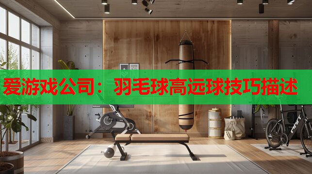 羽毛球高远球技巧描述 羽毛球高远球技巧描述