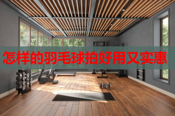 怎样的羽毛球拍好用又实惠 怎样的羽毛球拍好用又实惠