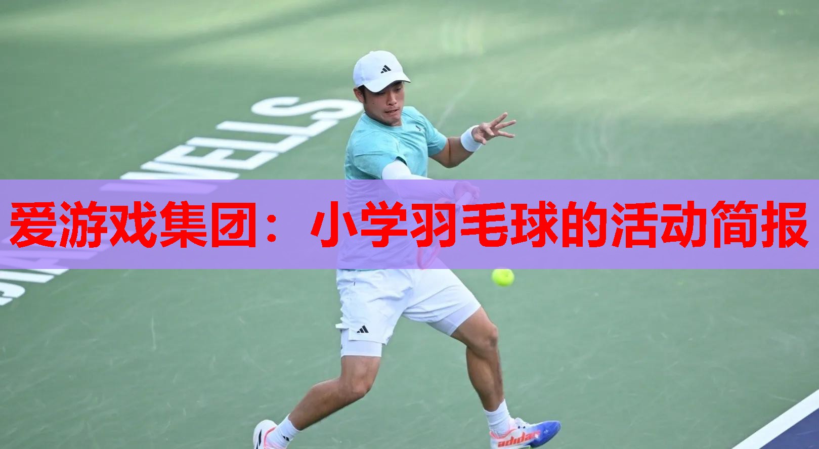 小学羽毛球的活动简报 小学羽毛球的活动简报