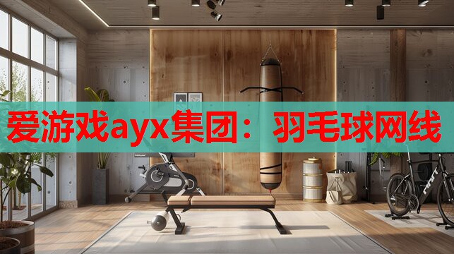 羽毛球网线 羽毛球网线