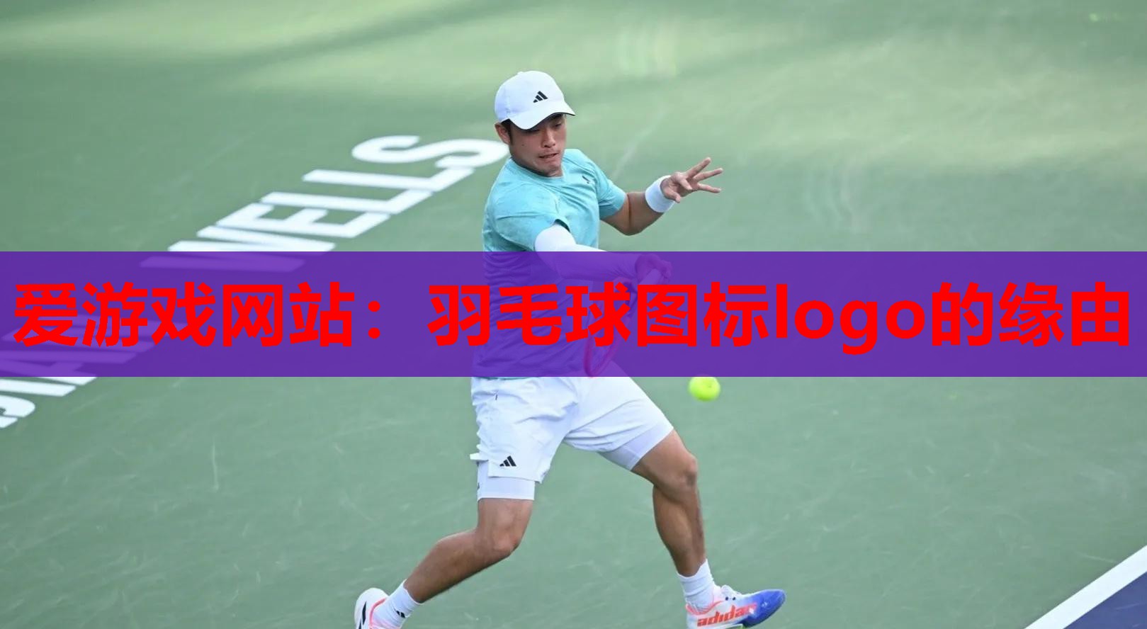 羽毛球图标logo的缘由 羽毛球图标logo的缘由