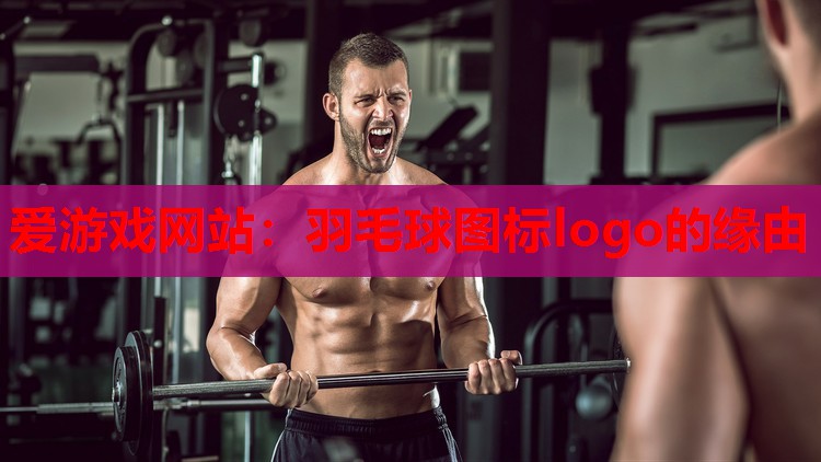 羽毛球图标logo的缘由 羽毛球图标logo的缘由