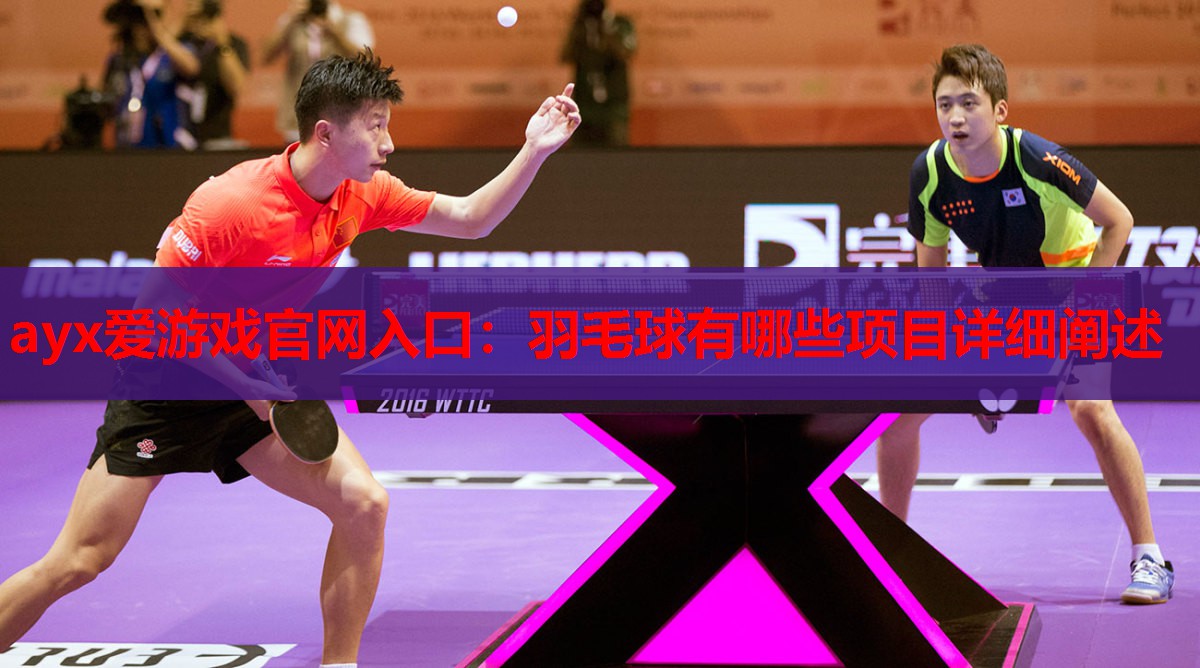 羽毛球有哪些项目详细阐述 羽毛球有哪些项目详细阐述