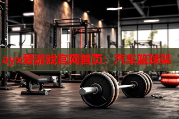 汽车篮球架 汽车篮球架