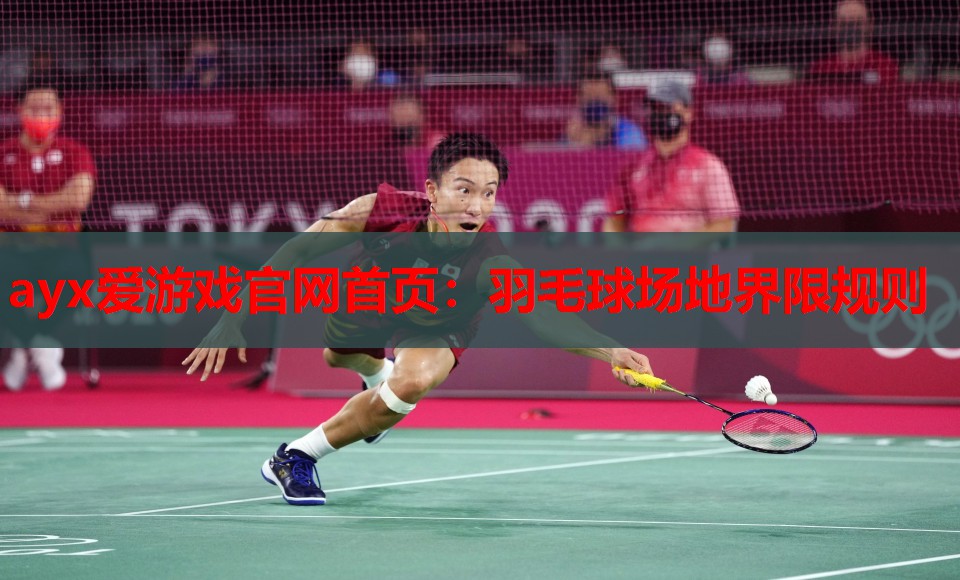 羽毛球场地界限规则 羽毛球场地界限规则