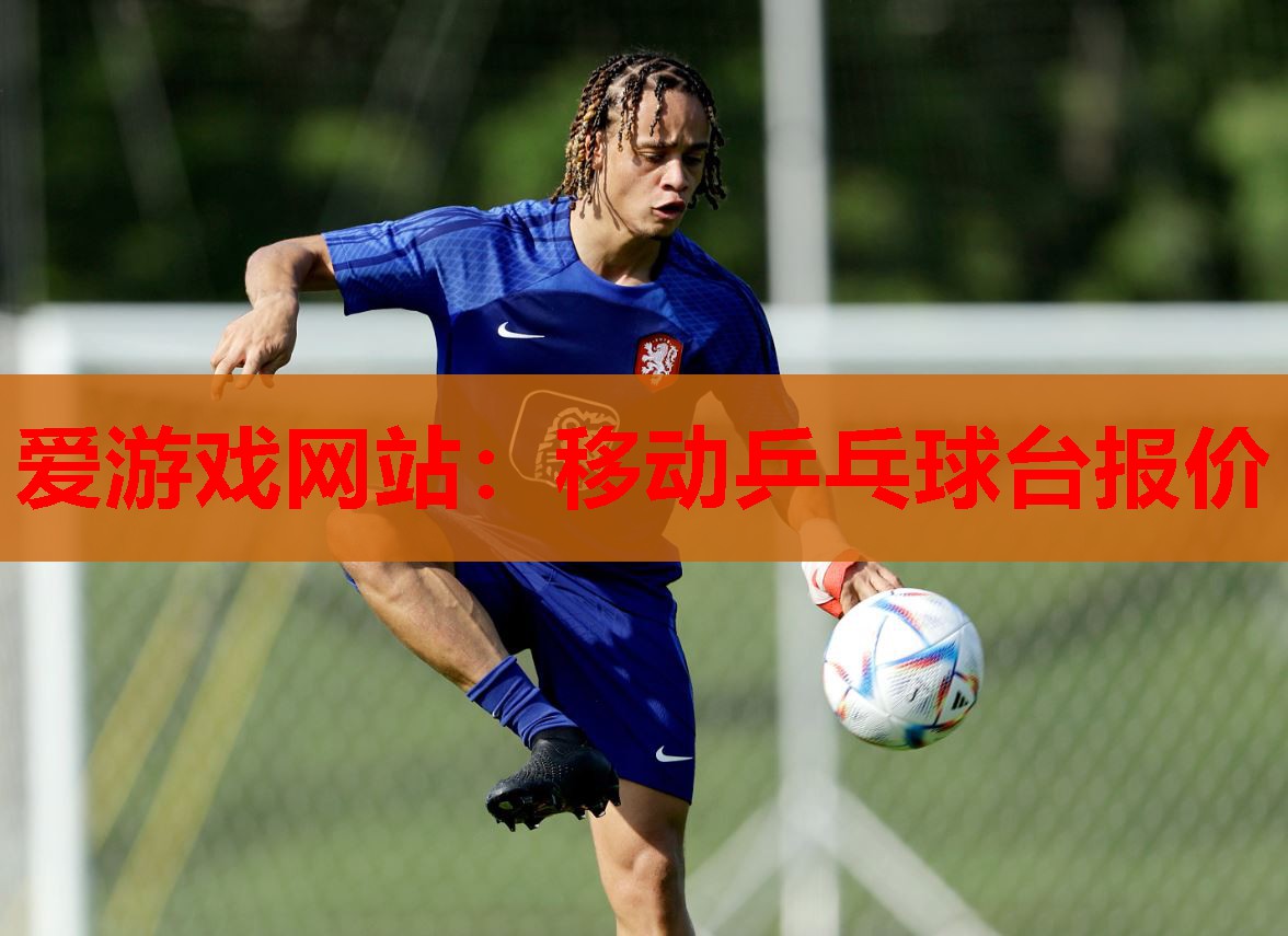 移动乒乓球台报价 移动乒乓球台报价
