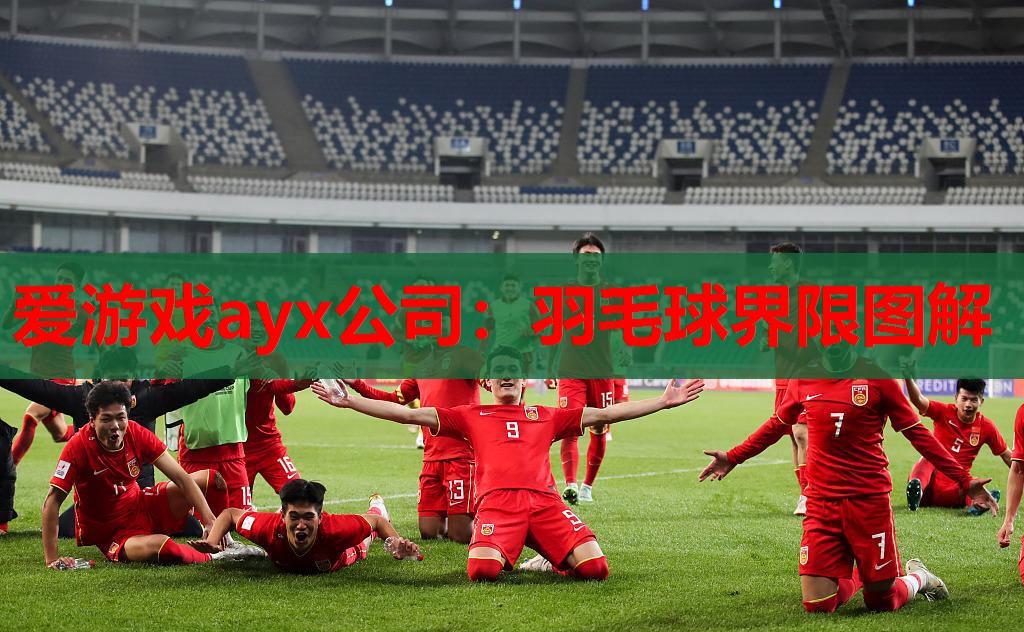 羽毛球界限图解 羽毛球界限图解