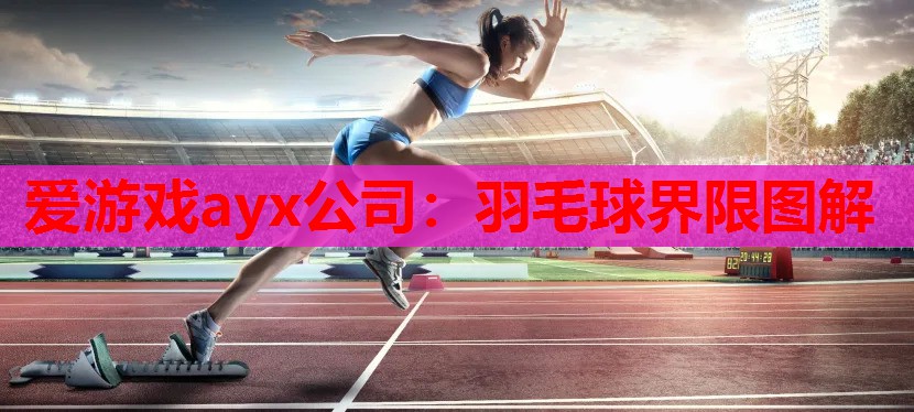 羽毛球界限图解 羽毛球界限图解