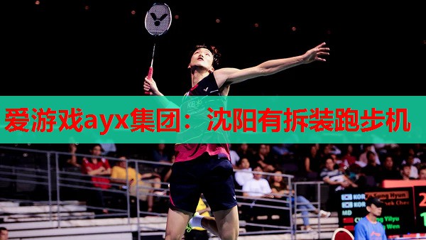 沈阳有拆装跑步机 沈阳有拆装跑步机