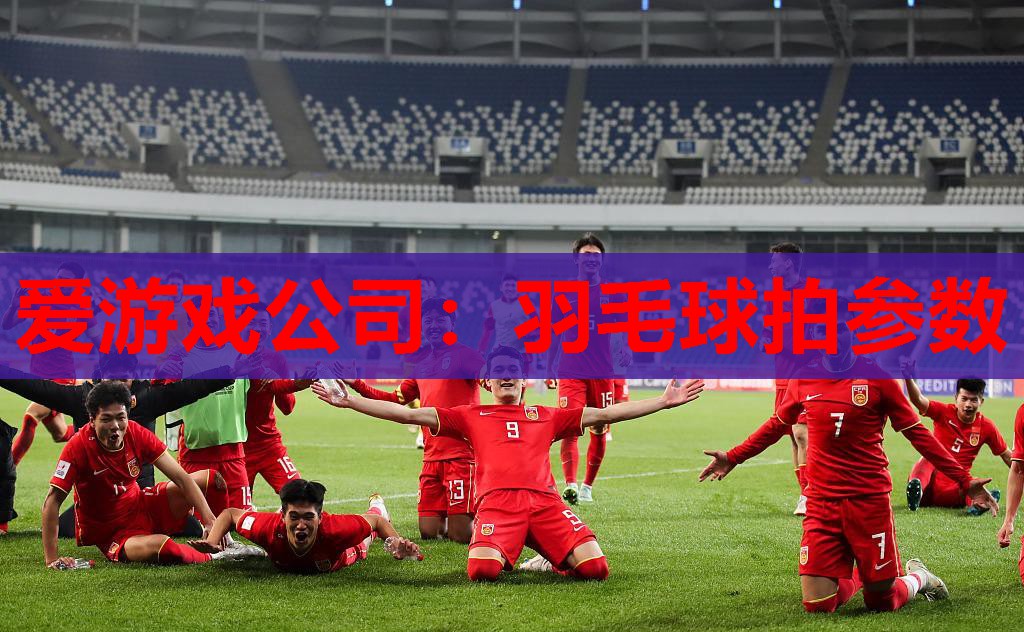 羽毛球拍参数 羽毛球拍参数