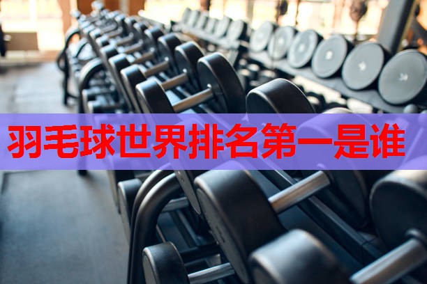 羽毛球世界排名第一是谁 羽毛球世界排名第一是谁